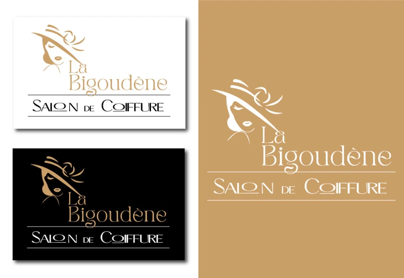 logo coiffeuse Vaud et Valais