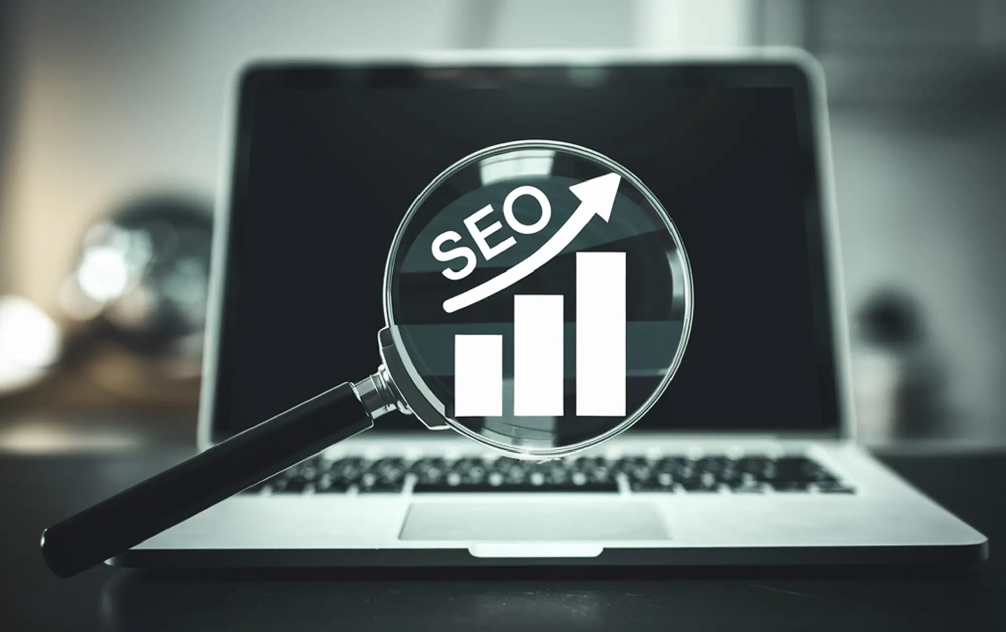 Expert Référencement SEO Chablais Sonia Croset Bex Expert Référencement SEO Chablais Sonia Croset Bex